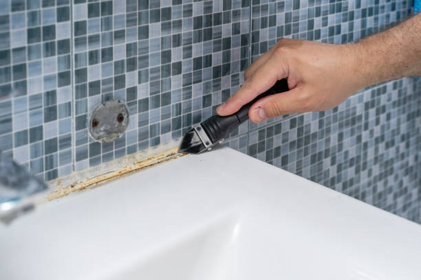 Trusted Chagrin Falls, OH Mold Removal Experts